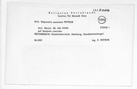 Media resource of Didymella austriaca